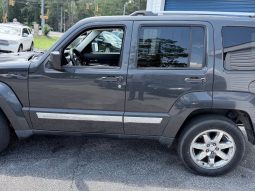 2010 JEEP Liberty