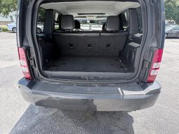 2010 JEEP Liberty