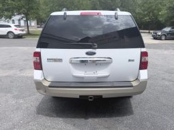 2010 FORD Expedition