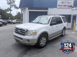 2010 FORD Expedition